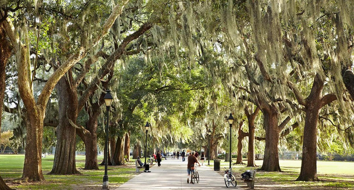 St. Patrick's Day in Savannah Georgia