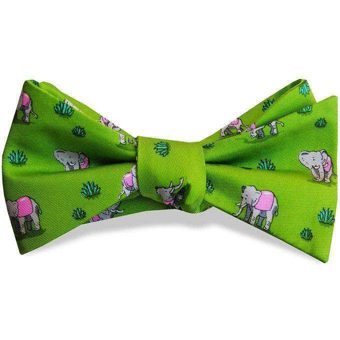 Elephant Club Bow Tie in Lime by Bird Dog Bay - Country Club Prep