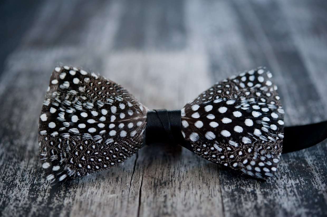 Original Feather Bow Tie in Guinea by Brackish Bow Ties – Country