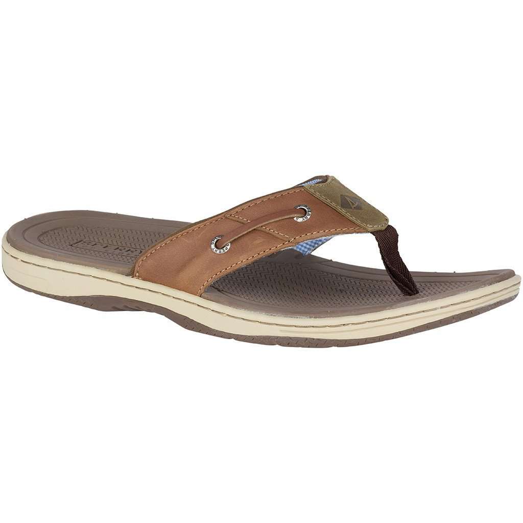 Sperry Men display picture 2