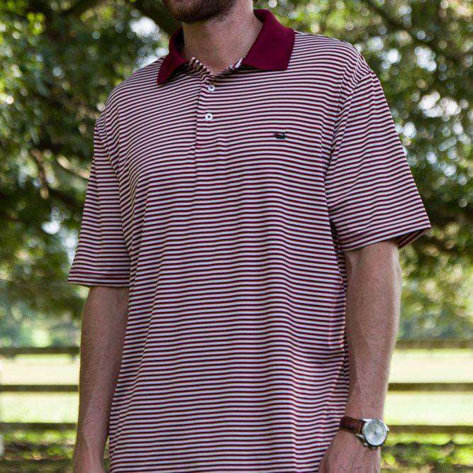 Southern Marsh Bermuda Performance Polo in Maroon and White Stripe