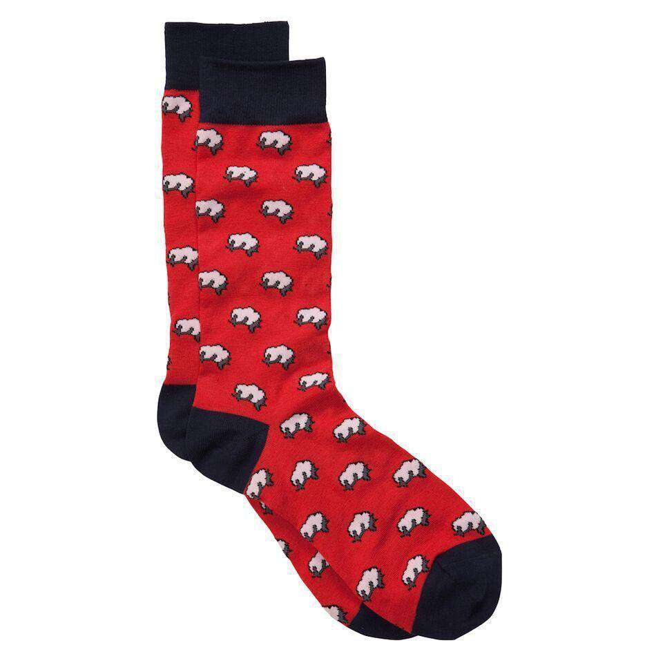 Southern Proper Cotton Boll Socks in Red – Country Club Prep
