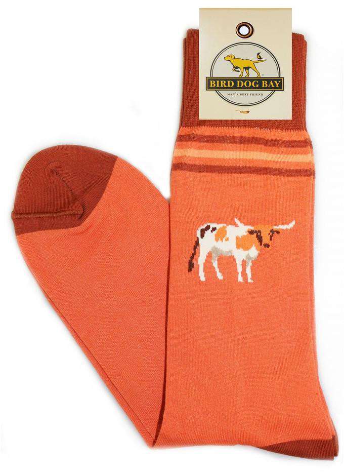 Bird Dog Bay Longhorns Sporting Socks in Orange Country Club Prep