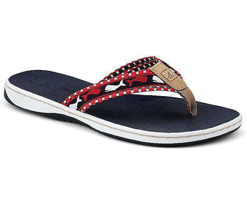 Women's Greenport Thong in Red & Navy Whales by Sperry - Country Club Prep