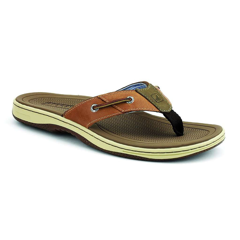 Men's Baitfish Thong by Sperry - Country Club Prep