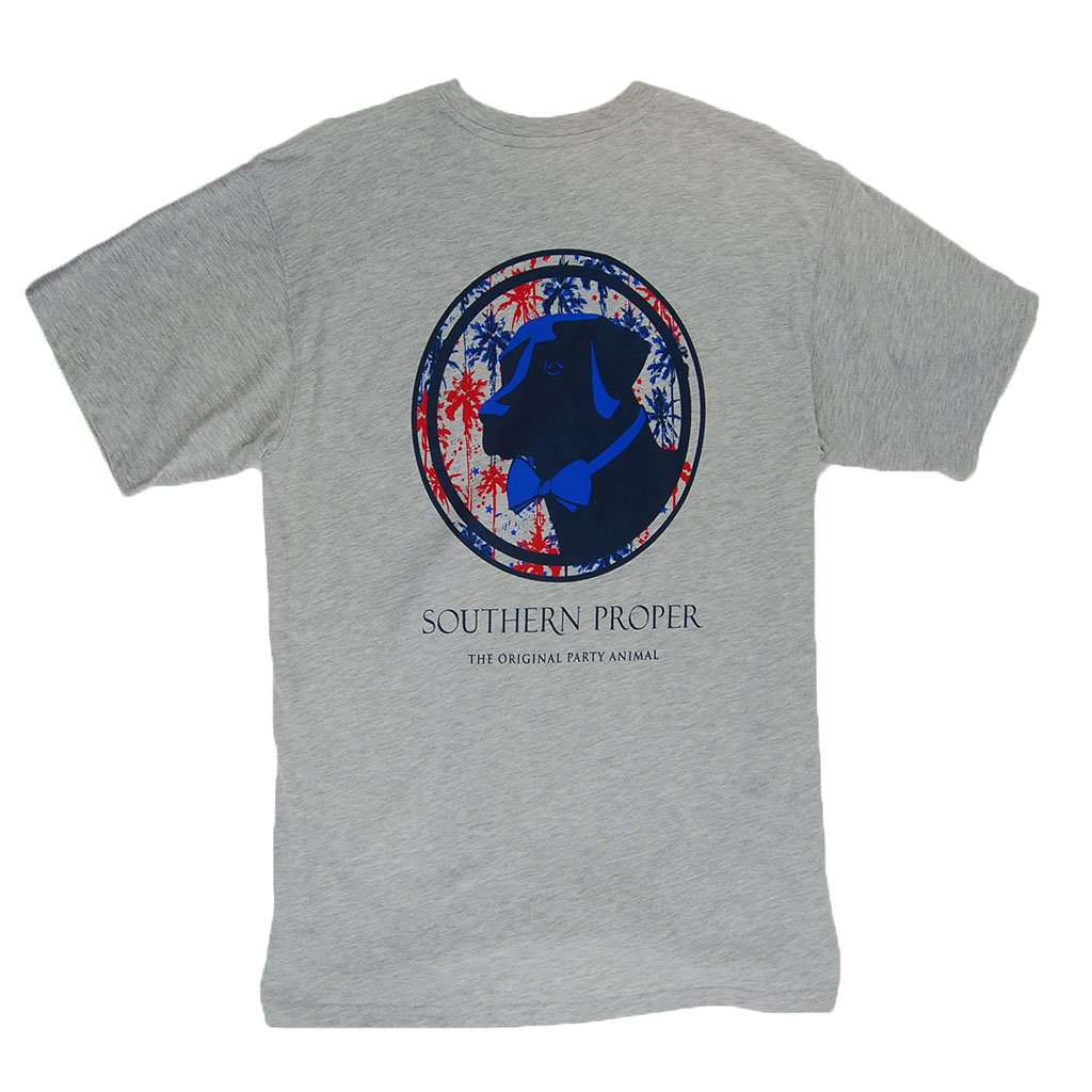 Palmetto Firework Lab Tee by Southern Proper - Country Club Prep