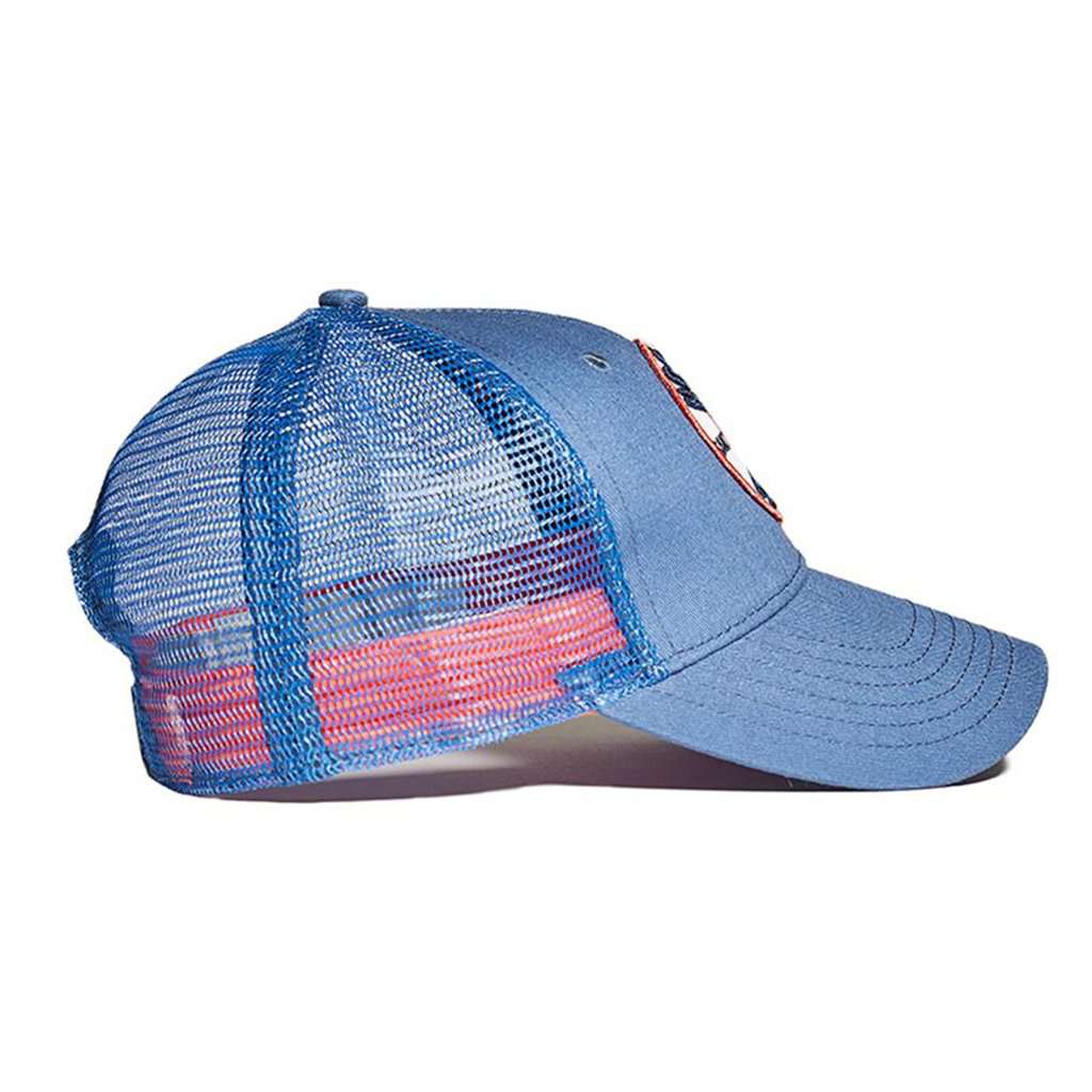 The University Bear Cap in Lake by The Normal Brand - Country Club Prep