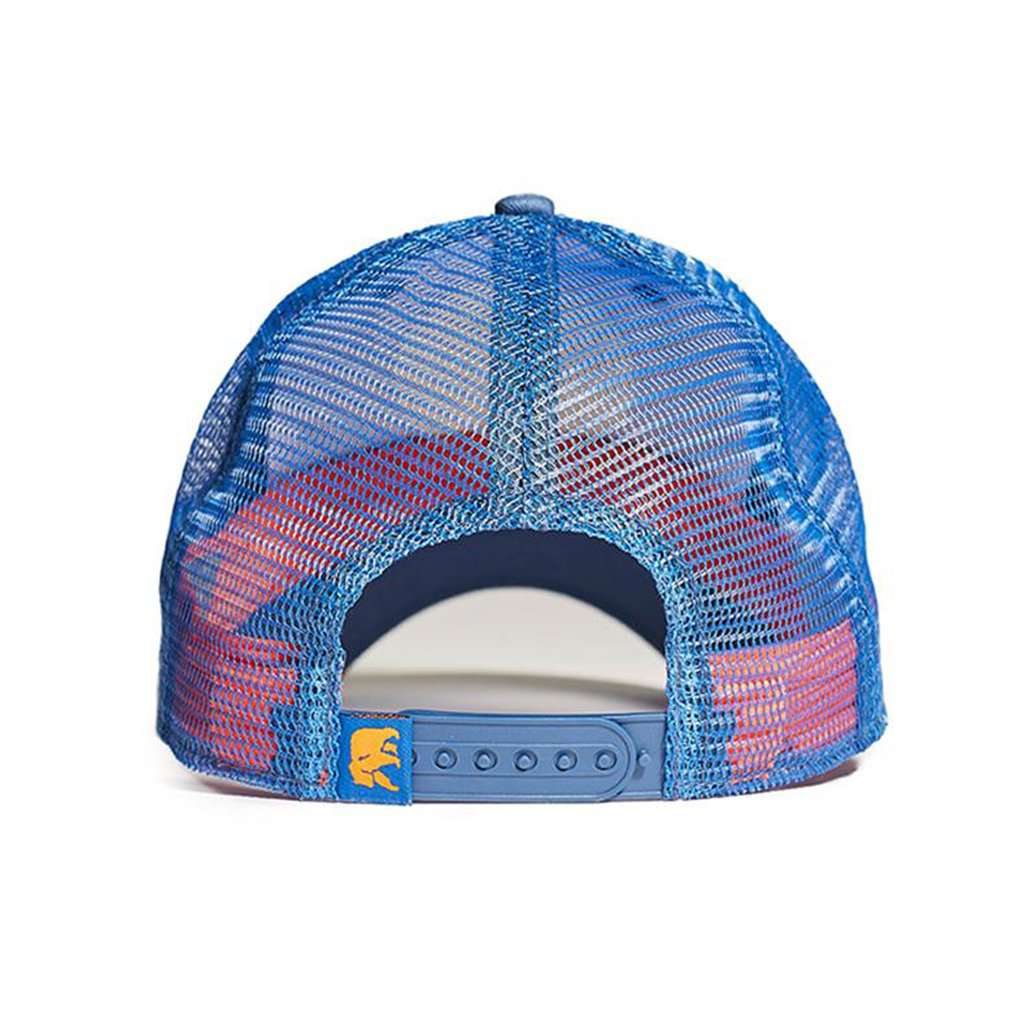 The University Bear Cap in Lake by The Normal Brand - Country Club Prep