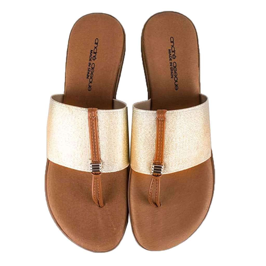 Nice Elastic Sandal Flat in Platino by Andre Assous - Country Club Prep
