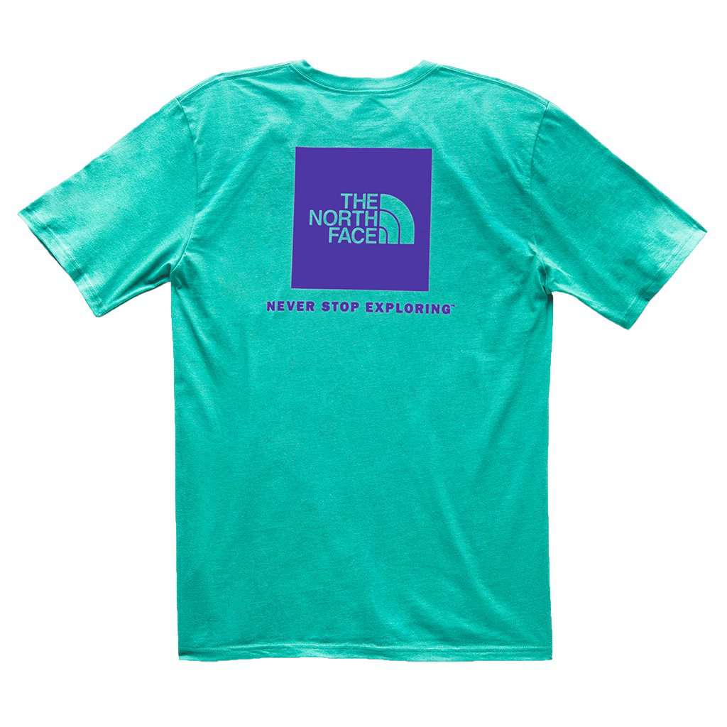 Men's Red Box Tee in Porcelain Green & Deep Blue by The North Face - Country Club Prep