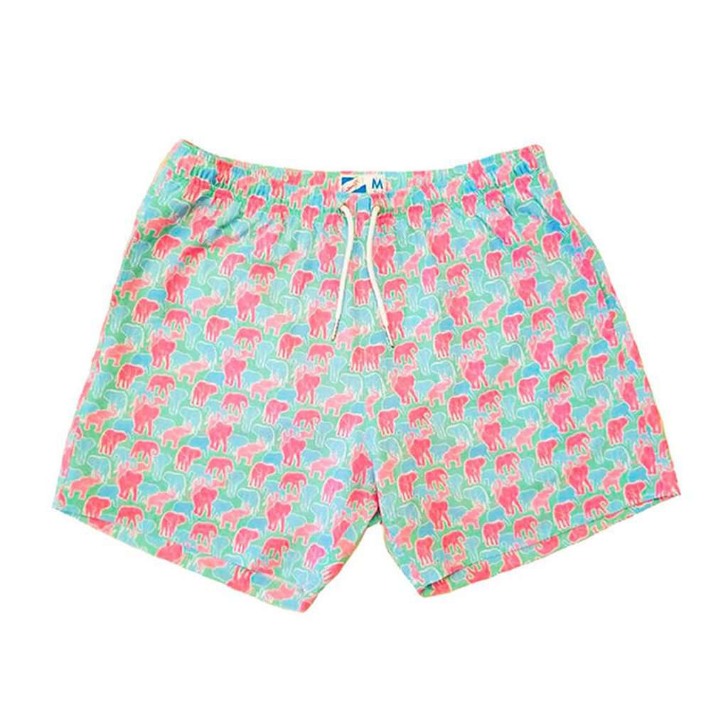 Elepants Swim Trunk by Bermies - Country Club Prep