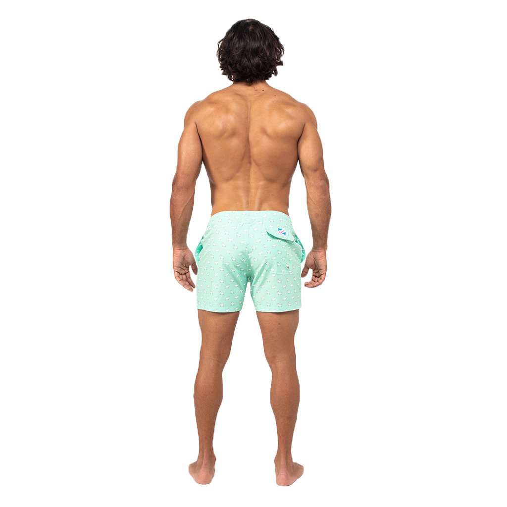 G.O.A.T. Swim Trunks by Bermies - Country Club Prep