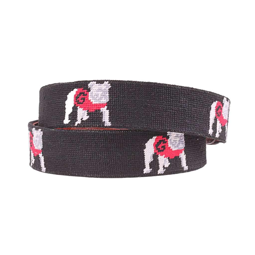 University of Georgia Bulldog Needlepoint Belt in Black by Smathers & Branson - Country Club Prep