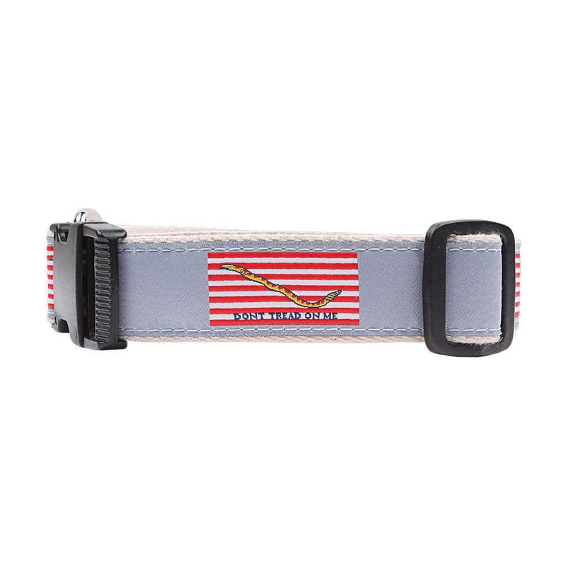 Progression of Freedom Ribbon Dog Collar by Over Under Clothing - Country Club Prep