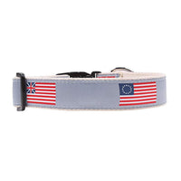 Progression of Freedom Ribbon Dog Collar by Over Under Clothing - Country Club Prep