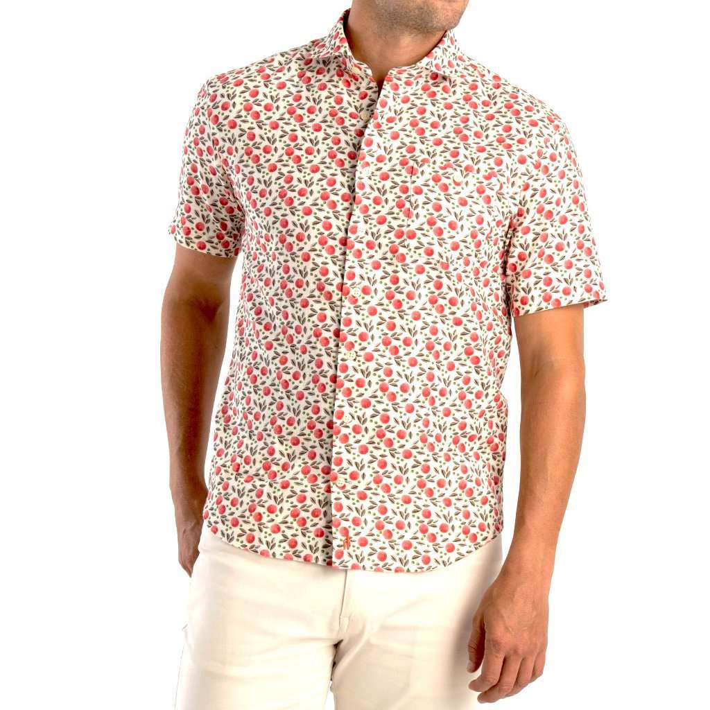 Porto Hangin' Out Short Sleeve Button Down Shirt by Johnnie-O - Country Club Prep