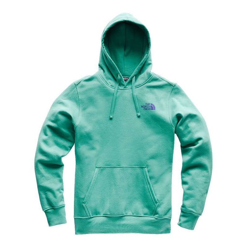 Men's Half Dome Pullover Hoodie in Porcelain Green & Deep Blue by The North Face - Country Club Prep