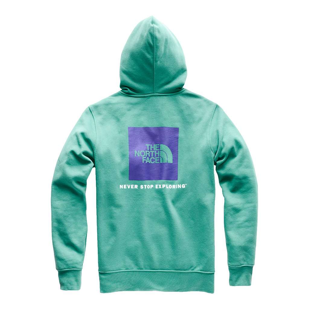 Men's Half Dome Pullover Hoodie in Porcelain Green & Deep Blue by The North Face - Country Club Prep