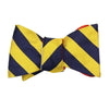 Gold/Navy and Red/Silver Bow Tie by Social Primer - Country Club Prep