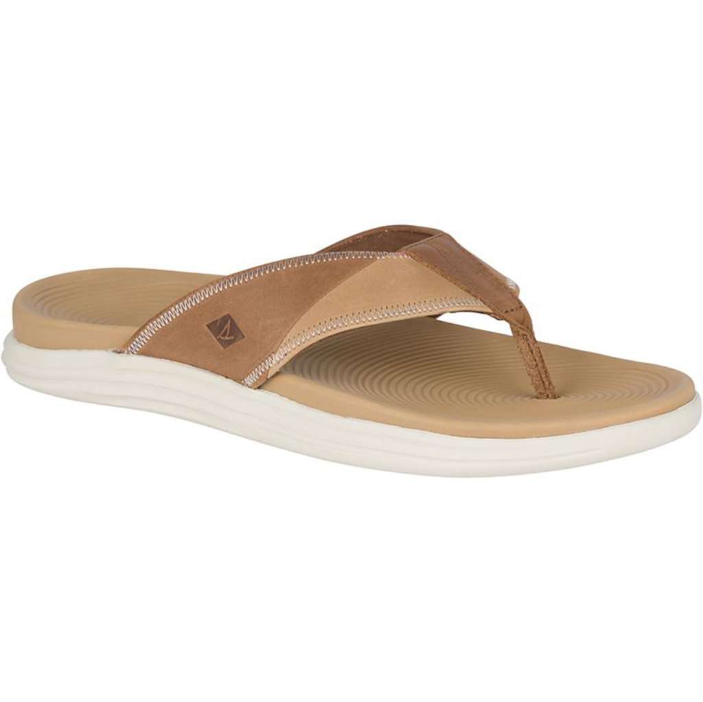 Men's Regatta Thong Flip Flop by Sperry - Country Club Prep