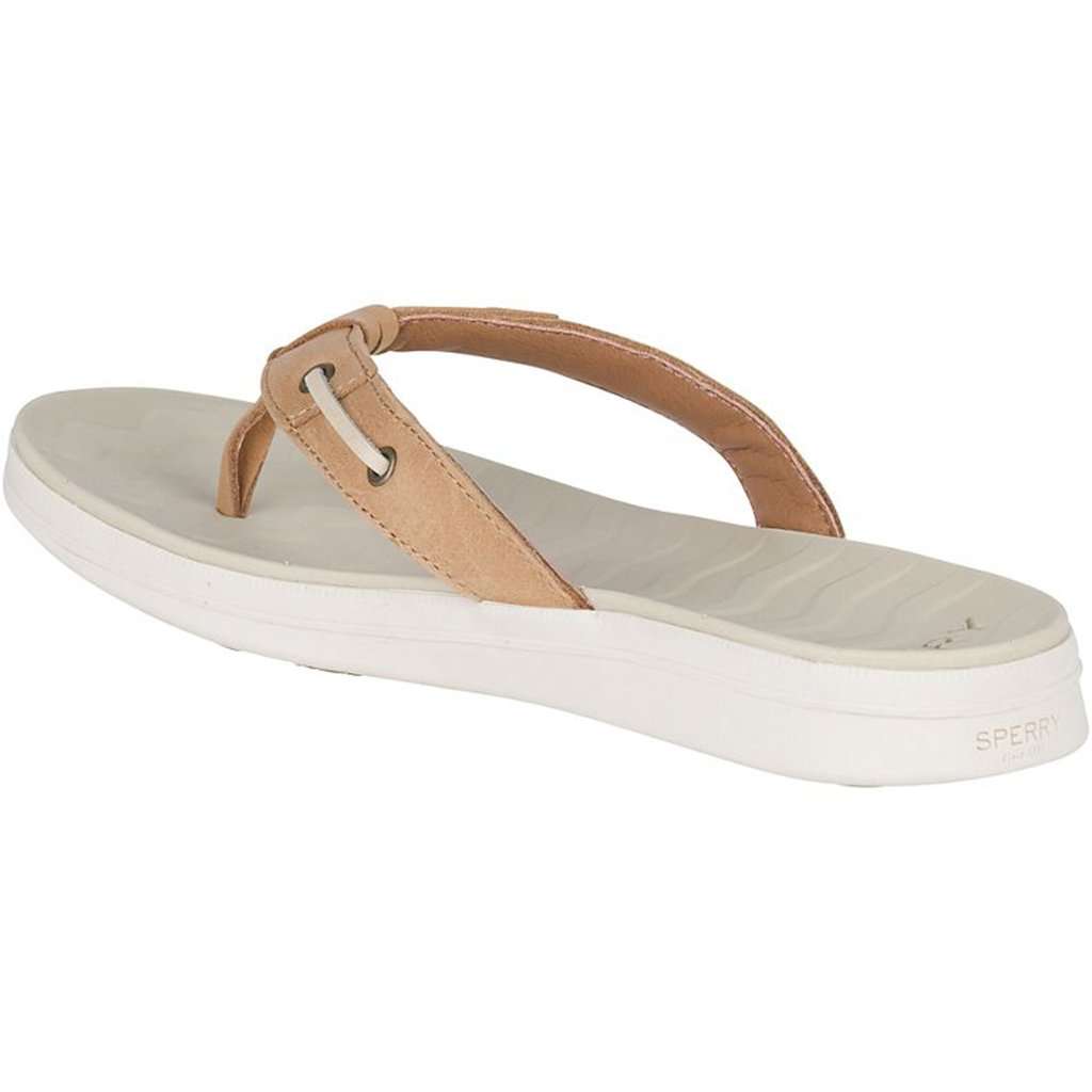 Women's Adriatic Thong Flip Flop by Sperry - Country Club Prep