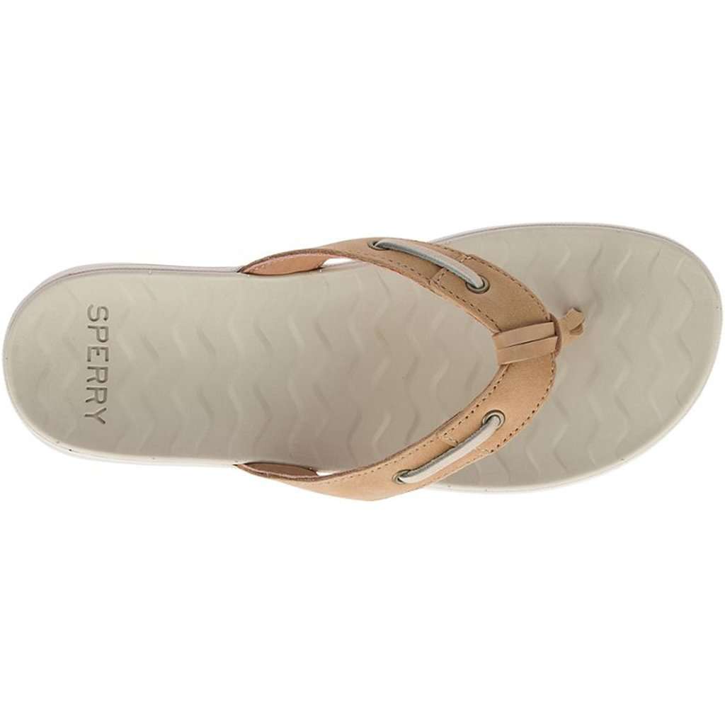 Women's Adriatic Thong Flip Flop by Sperry - Country Club Prep