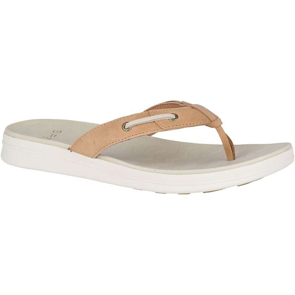 Sperry Womens Adriatic Thong Flip Flop – Country Club Prep