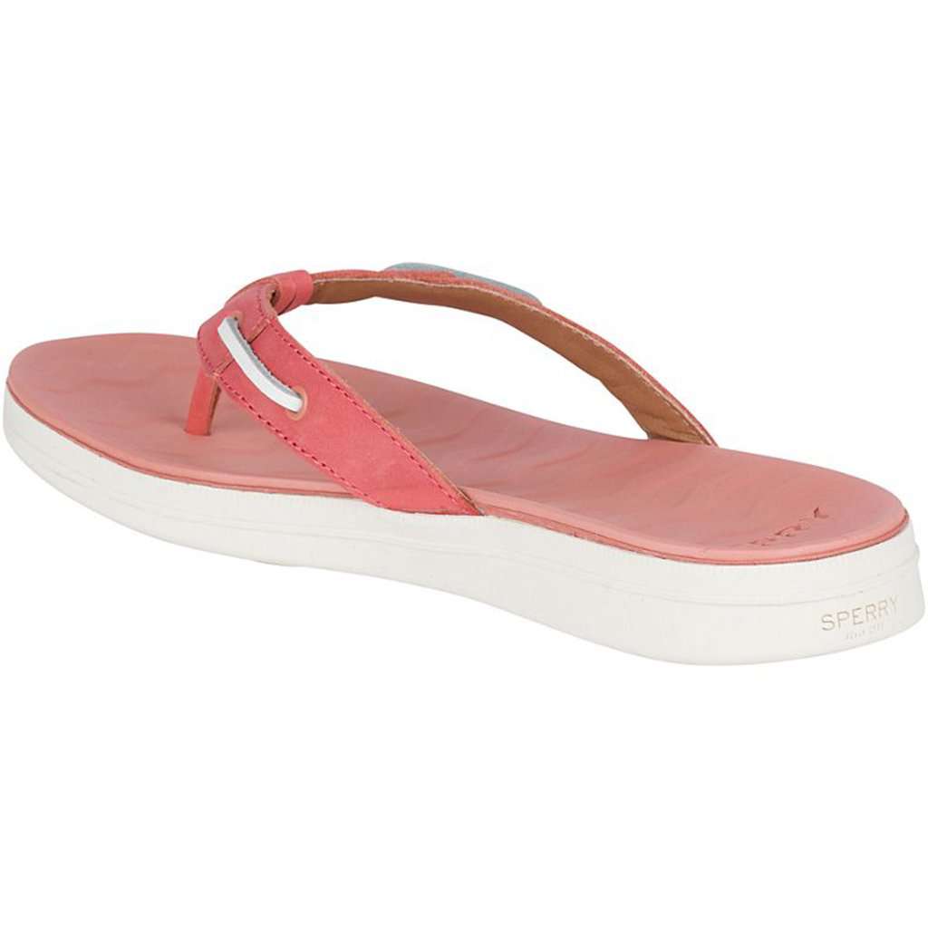 Women's Adriatic Thong Flip Flop by Sperry - Country Club Prep