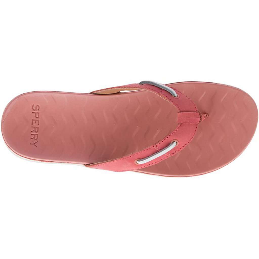 Women's Adriatic Thong Flip Flop by Sperry - Country Club Prep