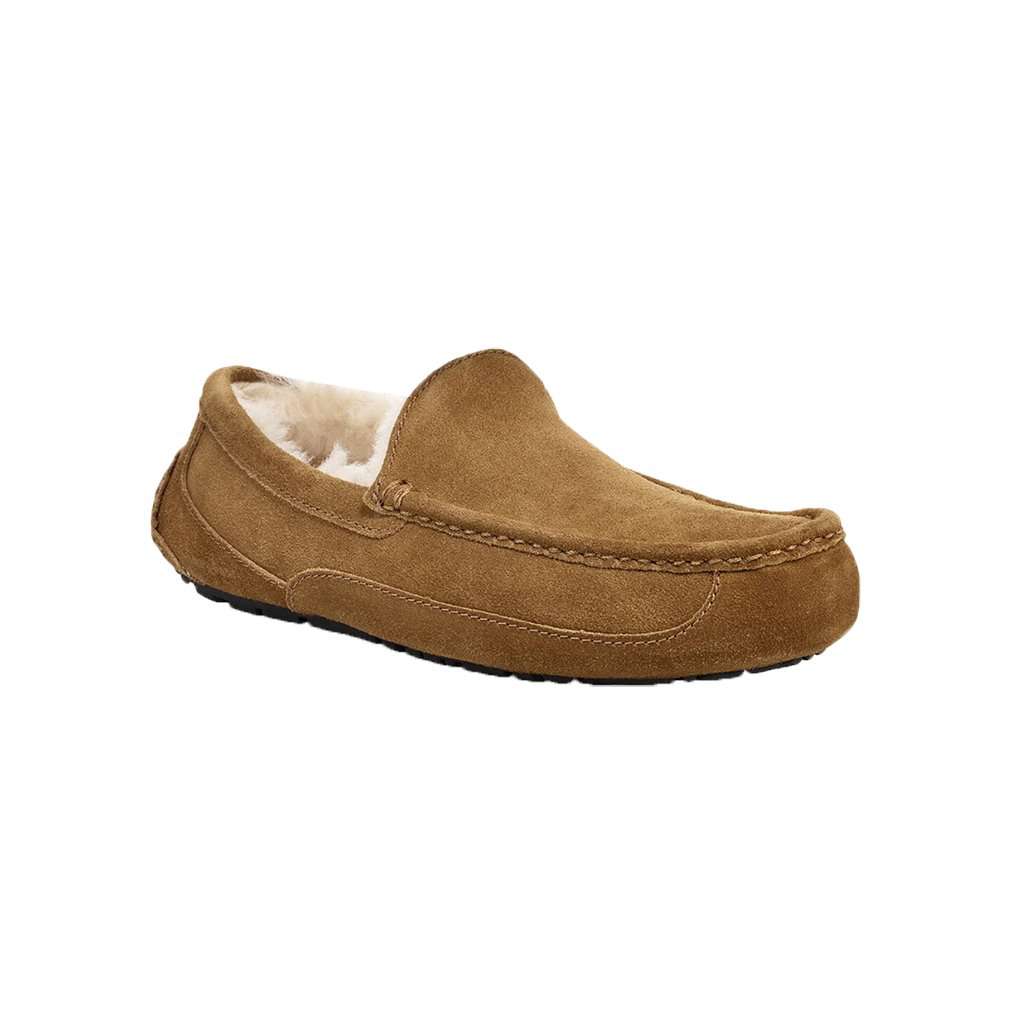UGG Men's Ascot Slipper | Free Shipping – Country Club Prep
