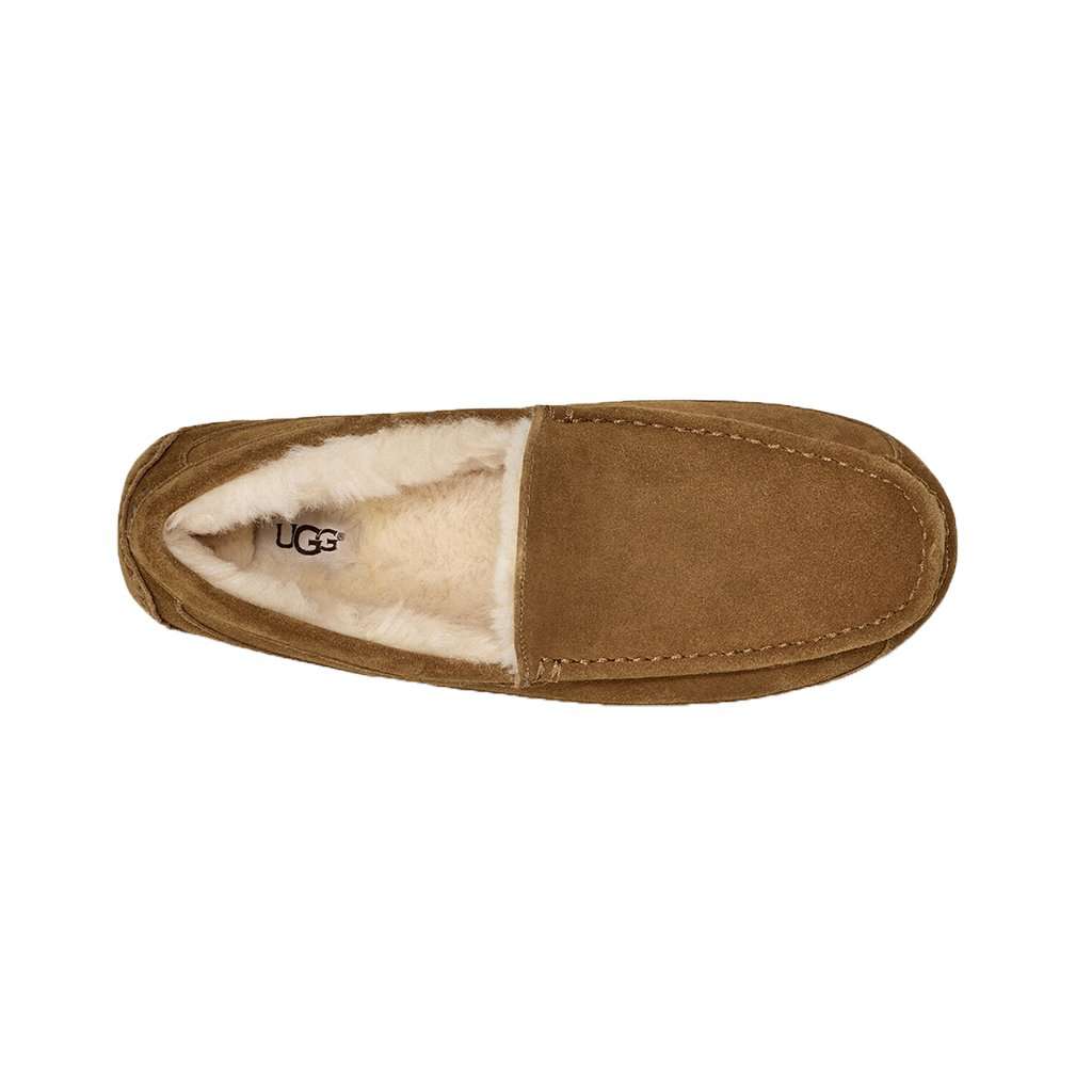 UGG Ascot Slipp on insulated sherpa Slipper Men’s Size 8 UGG Men main image 3