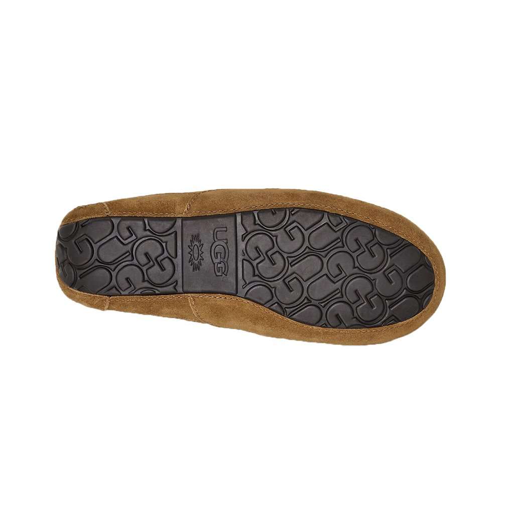 UGG Men display picture 3