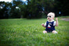 Children's Sunglasses in Beach Baby Blue by Babiators - Country Club Prep