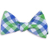 Battery Check Bow Tie in Green by High Cotton - Country Club Prep