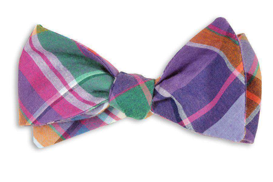 Baytowne Madras Bow Tie in Purple Madras by High Cotton - Country Club Prep