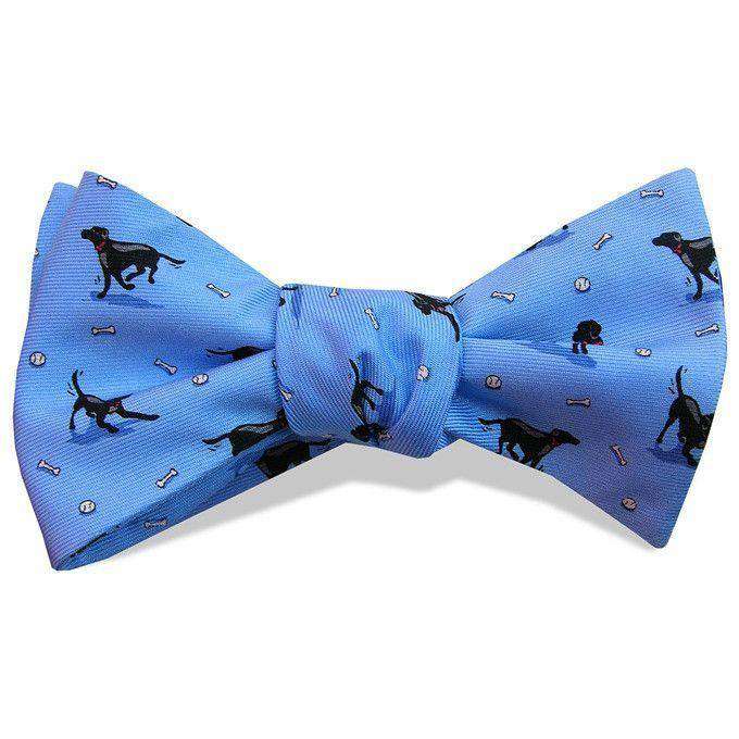 Black Lab Heaven Bow Tie in Blue by Bird Dog Bay - Country Club Prep