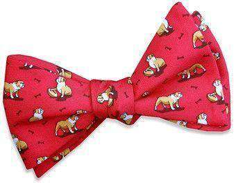 Bulldog Bonanza Bow Tie in Red by Bird Dog Bay - Country Club Prep