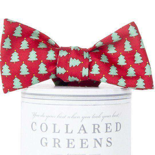 Christmas Trees Bow Tie in Red by Collared Greens - Country Club Prep