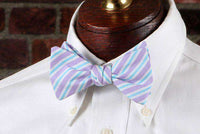 Corolla Stripe Bow Tie in Purple by High Cotton - Country Club Prep