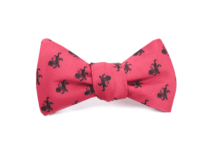 Delta Kappa Epsilon Bow Tie by Dogwood Black - Country Club Prep