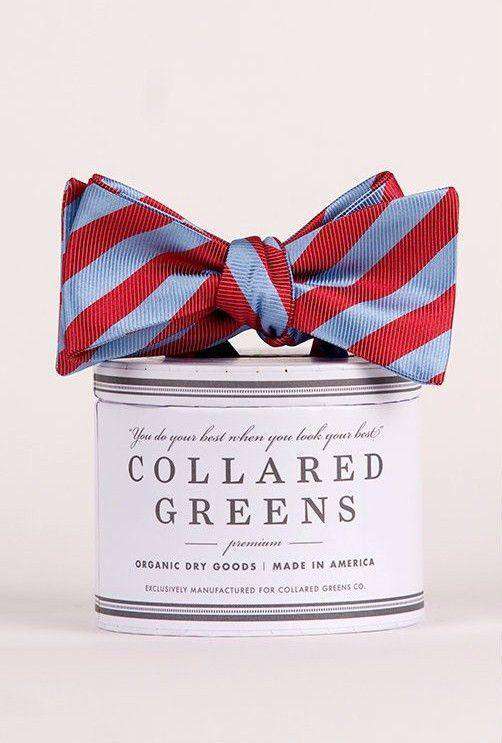 Double Haul Bow in Blue and Red by Collared Greens - Country Club Prep