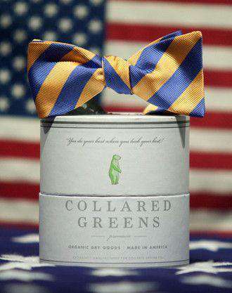 Drake Bow in Blue/Orange by Collared Greens - Country Club Prep