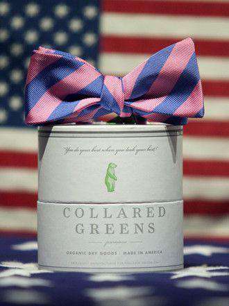 Drake Bow in Blue/Pink by Collared Greens - Country Club Prep