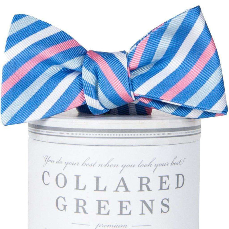 Eastwood Bow Tie in Blue & Pink by Collared Greens - Country Club Prep