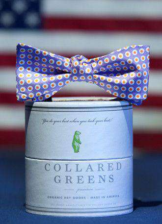 Henry's Bow in Purple by Collared Greens - Country Club Prep