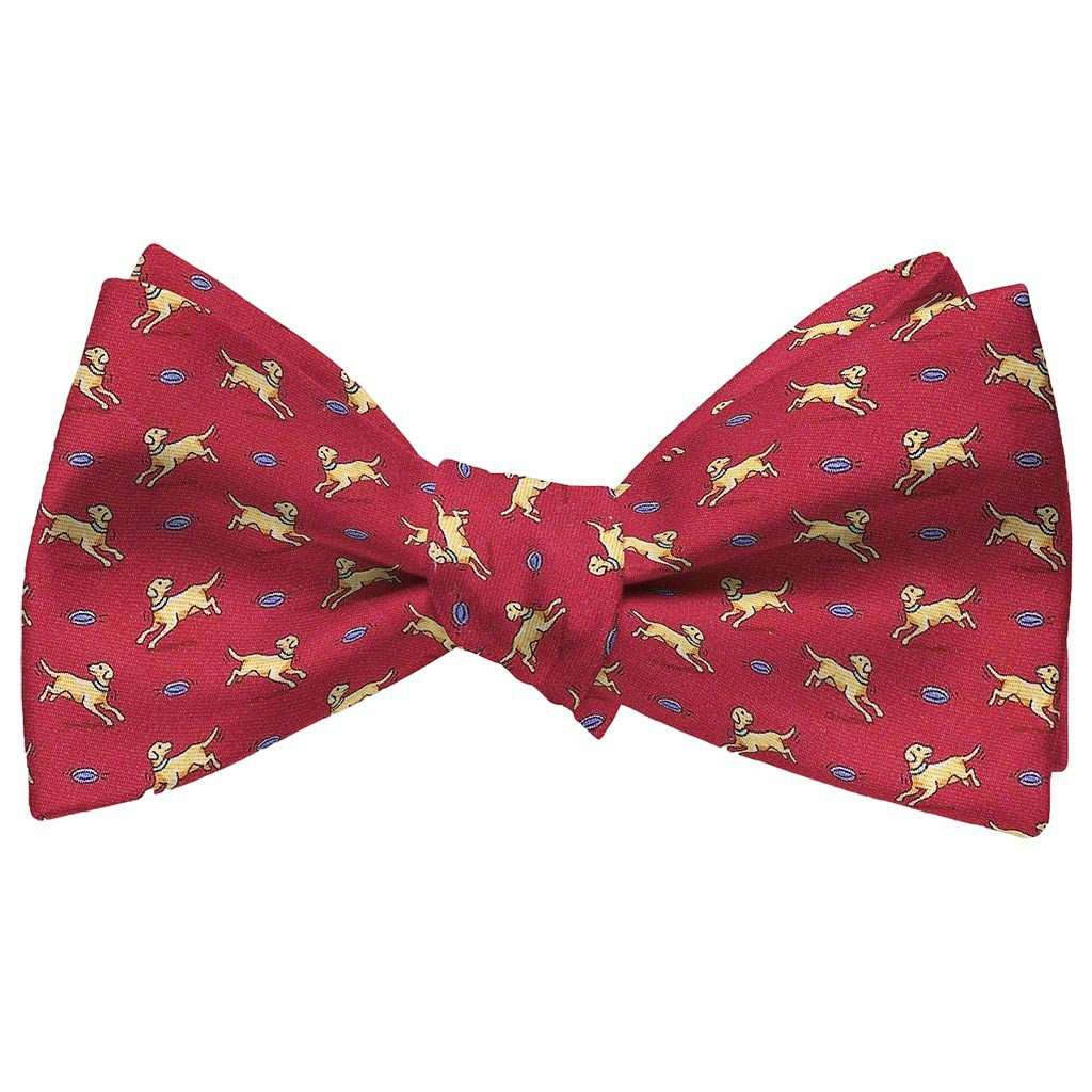 Lab Partners Bow Tie in Red by Bird Dog Bay - Country Club Prep