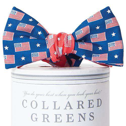 Let Freedom Ring Mixer Bow Tie in Navy/Red by Collared Greens - Country Club Prep