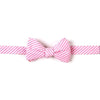 Light Pink Seersucker Stripe Bow Tie by High Cotton - Country Club Prep
