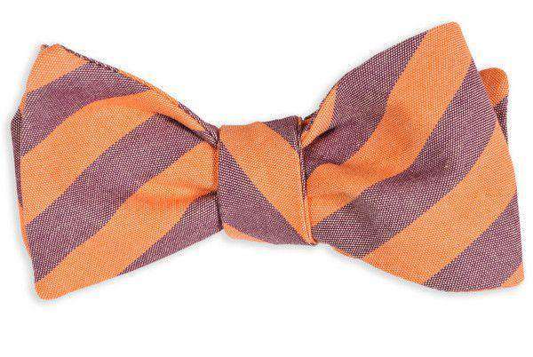 Orange and Purple Oxford Stripe Bow Tie by High Cotton - Country Club Prep