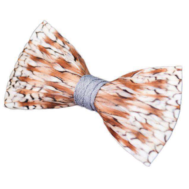 Original Feather Bow Tie in Grey Bobwhite by Brackish Bow Ties - Country Club Prep